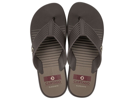 Cartago Montreal Thong AD 11729 - Brown