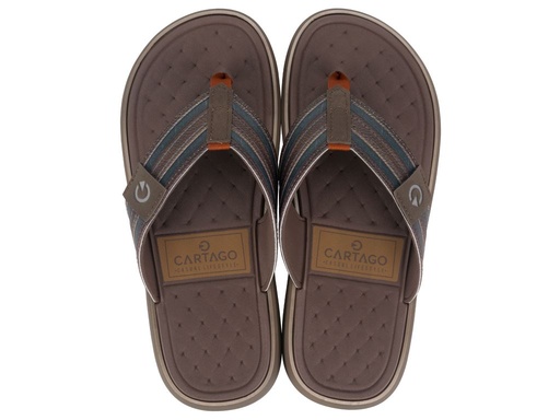 Cartago Genebra Thong AD 12208 - Brown